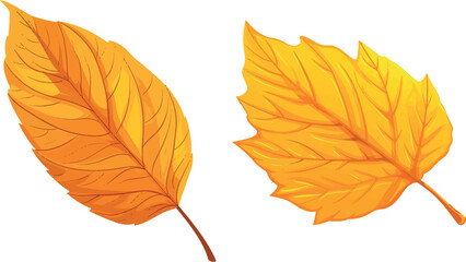 Sticker - Yellow leaf. Autumn tree foliage cartoon icon