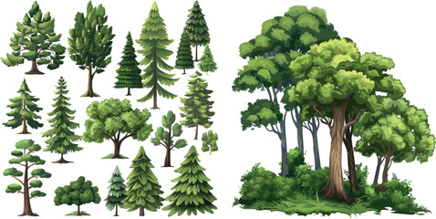 Poster - forest trees isolated