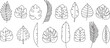 Palm leaf line icon, tropic tree, banana leaves, jungle plant, exotic foliage set outline design. Cartoon summer fern, botanical collection, simple black silhouettes. Hawaiian vector illustration