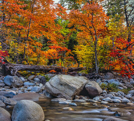 Wall Mural - Autumn on the swift river