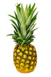 Fresh tropical fruit natural pineapple