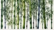 bamboo forest background, watercolor wallpaper backdrop illustration