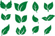 © munir - Green leaf icons set on transparent background. ECO and environment friendly, world earth day, green energy related poster or banner designing. PNG format.
