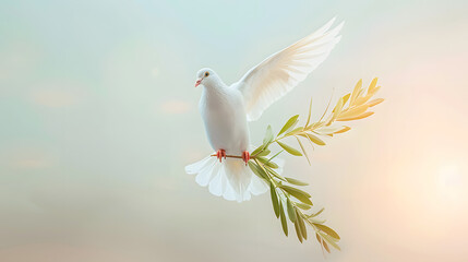 Wall Mural - white dove or white pigeon carrying olive leaf branch on pastel background and clipping path and international day of peace