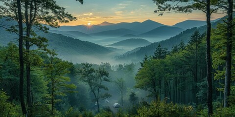 Canvas Print - Misty Mountains and Foggy Forest Landscape