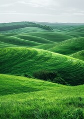 Canvas Print - Picturesque green hills of Tuscany, Italy