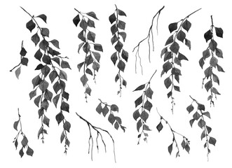 Wall Mural - birch tree branches monochrome ink painting