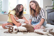 Mother and daughter sitting on carpet playing with her Siberian Husky puppy. Concept family with dog at home. High quality photo
