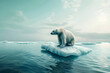 Melting Away: The Cataclyphic Impact of Climate Change on Polar Ice and Species Survival