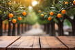 Empty wooden table for product display with orange trees blurred background and a few oranges