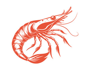 Wall Mural - Shrimp outline in sketch style on white background, vector illustration