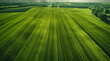 Agro culture, green fields, nature, view from above. Generative AI.