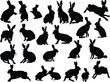 twenty four black rabbits on white
