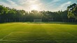 Serene panorama of a sprawling soccer pitch, adorned with freshly mowed green grass