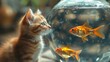 © bird_saranyoo - A cute kitten is curiously looking at a goldfish in a fish tank.