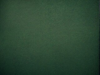 Wall Mural - green leather texture