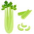 Celery cartoon drawing set