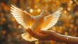 A pair of hands releasing a dove into the air, symbolizing peace and reconciliation.