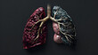 Comparative Visualization of Latent and Active Tuberculosis Impact on Lungs