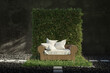 colorful meadow with rattan sofa stands out in front of stone garden. 3D Rendering