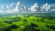 Aerial view of green fields and clouds.