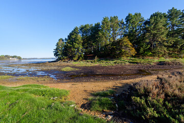 Canvas Print - Lindin bay in the gulf of  Morbihan Sarzeau village