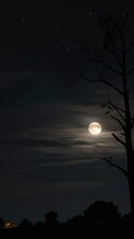 Full Moon Over The Sky.Super Moon Between Branches. Full Moon Behind The Clouds. 