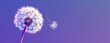 dandelion on purple background, AI generated
