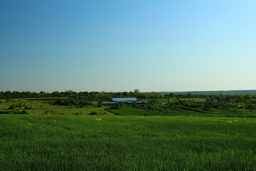 Wall Mural - A large green field with white letters