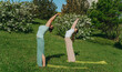 Serene outdoor yoga session with two women stretching on green mats against a lush landscape. Bright, sunny day accentuates vibrant green grass and blooming trees