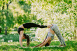 Mother and daughter practicing yoga in a serene, sunlit park, surrounded by lush greenery and blooming trees. The scene captures a warm and peaceful atmosphere, emphasizing health and family bonding.