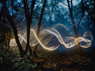 Poster - light painted motion trails in the dark forest at night with trees and bushes