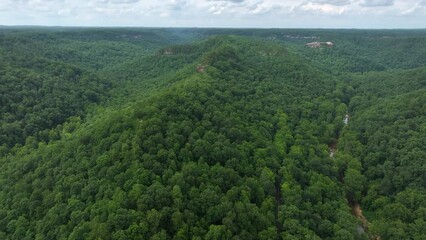 Poster - aerial drone view over kentucky forest