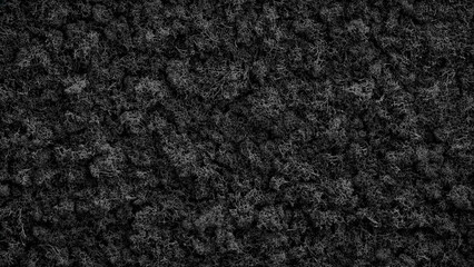 Poster - Abstract black texture plant background