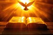 Bright sun light and Holy Spirit dove flying over a bible book silhouette of the Holy Jesus Christ guiding the bright path.	
