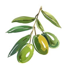 Wall Mural - olive fruit watercolor digital painting good quality