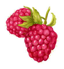 Wall Mural - raspberry watercolor digital painting good quality