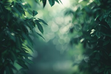 Wall Mural - Misty Woodlands: A Blur of Trees Amidst a Peaceful Blue Sky.