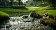 a golf course with a stream