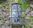 window of stone house surrounded by ivy