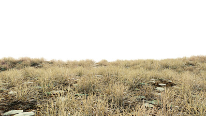 Wall Mural - dry grass field on transparent background