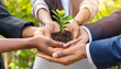 © Enggartiasto - Teamwork and cooperation to conserve the green business forest of growing with plants in the hands of an eco-friendly group or team. Collaboration in green business