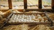 Thai silk production farm with silkworms in wooden tray and white cocoons over raw yellow silk thread on straw background