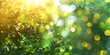 Blurred beautiful nature background blurry of leaf bokeh forest. 