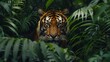 Tiger Staring Intently Through Dense Jungle Foliage