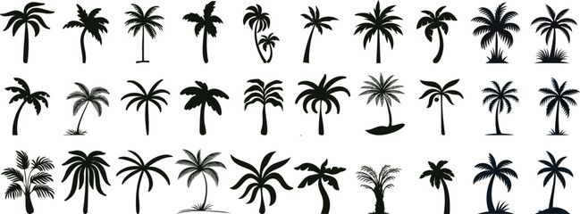 Wall Mural - exotic tropical palm tree silhouettes, perfect for travel, vacation themes, summer designs. detailed