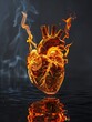 An anatomical heart engulfed in flame