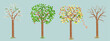 Realistic style vector illustration of a young tree in all 4 seasons: spring, summer, autumn and winter. Isolated on a uniform background.