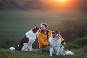 Sticker - Happy dog and man playing outdoor