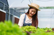 Female gardener harvesting organic green oak salad hydroponics with happiness in hydroponics garden
